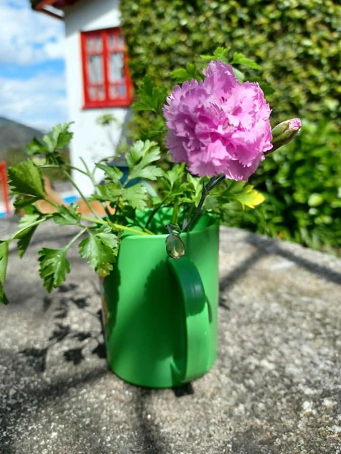 Covelas  Casa Do Palheiroヴィラ エクステリア 写真