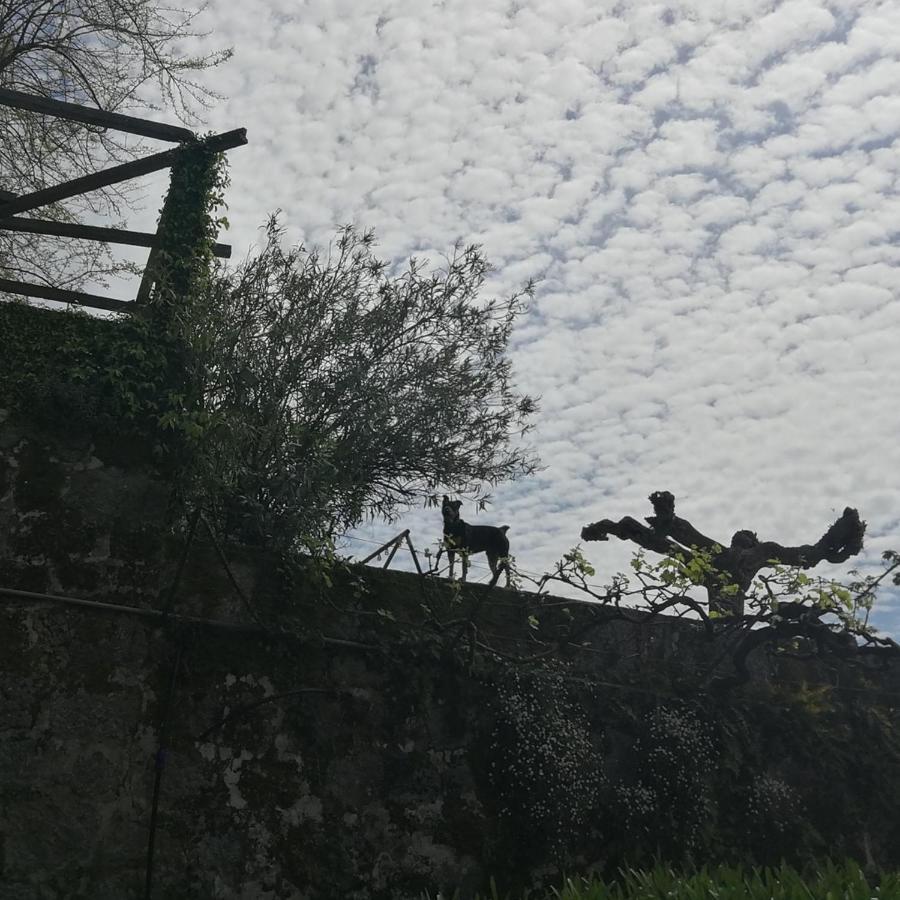Covelas  Casa Do Palheiroヴィラ エクステリア 写真